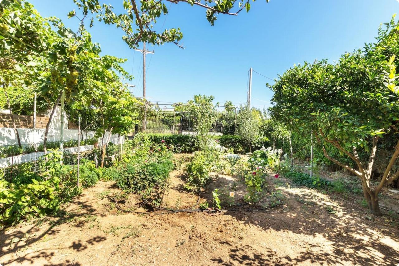Ferienwohnung Οικια Elisabeth Artemida  Exterior foto