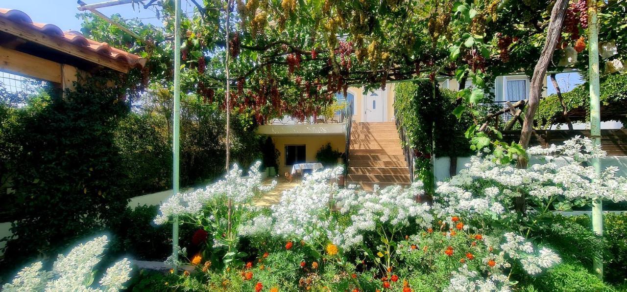 Ferienwohnung Οικια Elisabeth Artemida  Exterior foto
